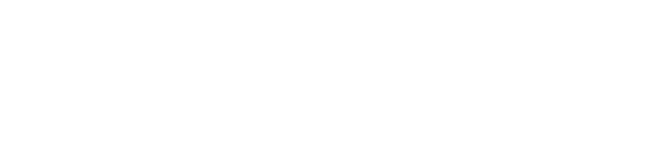 Chrono Curiosity
